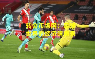 转会市场网：足球世界的经济晴雨表