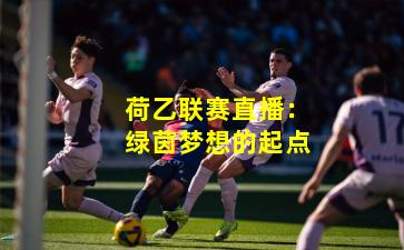 荷乙联赛直播:绿茵梦想的起点