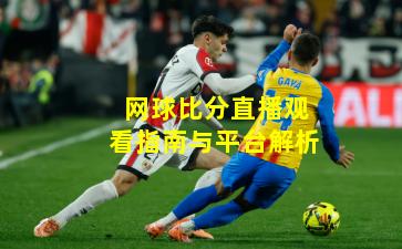 网球比分直播观看指南与平台解析